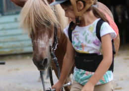 Cours d'équitation Larmor Plage
