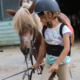 Cours d'équitation Larmor Plage