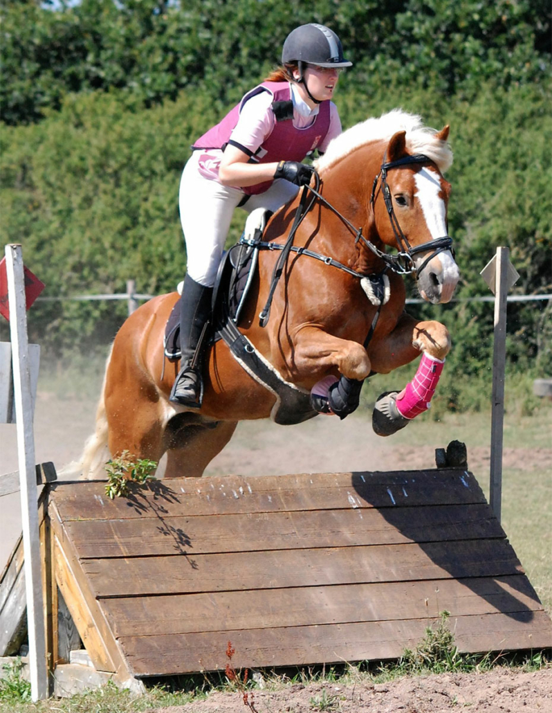 Formation equitation AE -Kerguelen LAE